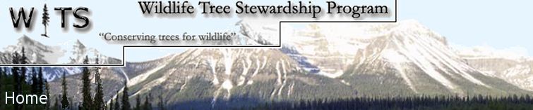 Wildlife Tree Stewardship Program Home